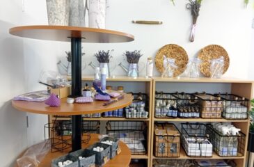 Žáci oboru kosmetika na exkurzi do levandulového ráje.